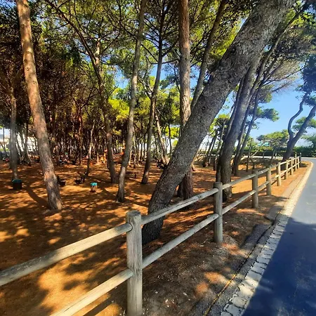 Mare Int D - Myho Casa * Alba Adriatica